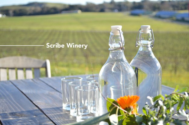 scribe winery